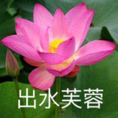 武神无双手游下载